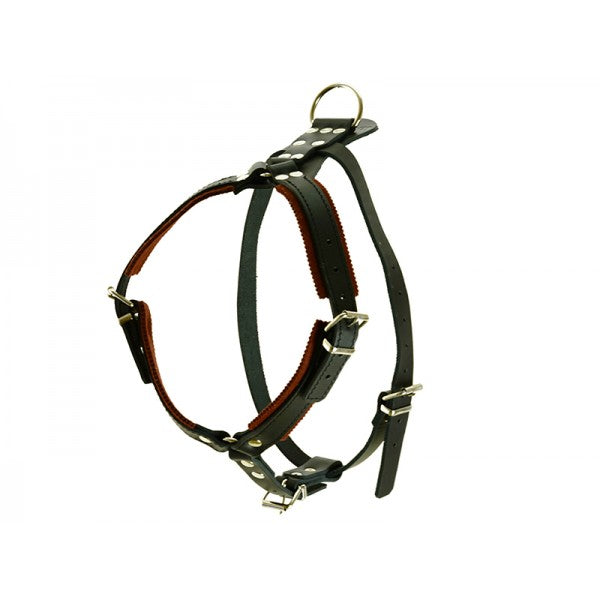 Leather Padded harness for defence