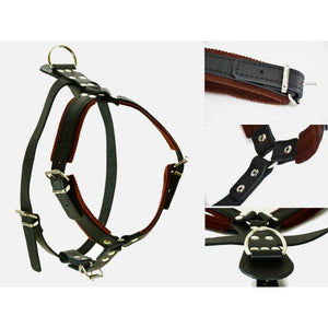 Leather Padded harness for defence