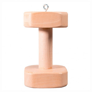 Magnetic dumbbell with wooden middle part